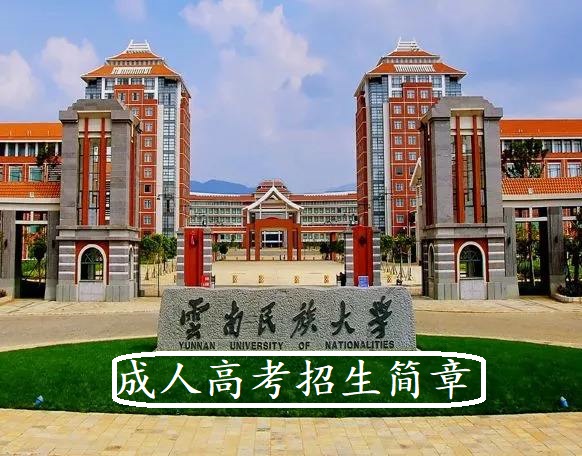 云南民族大学.jpg