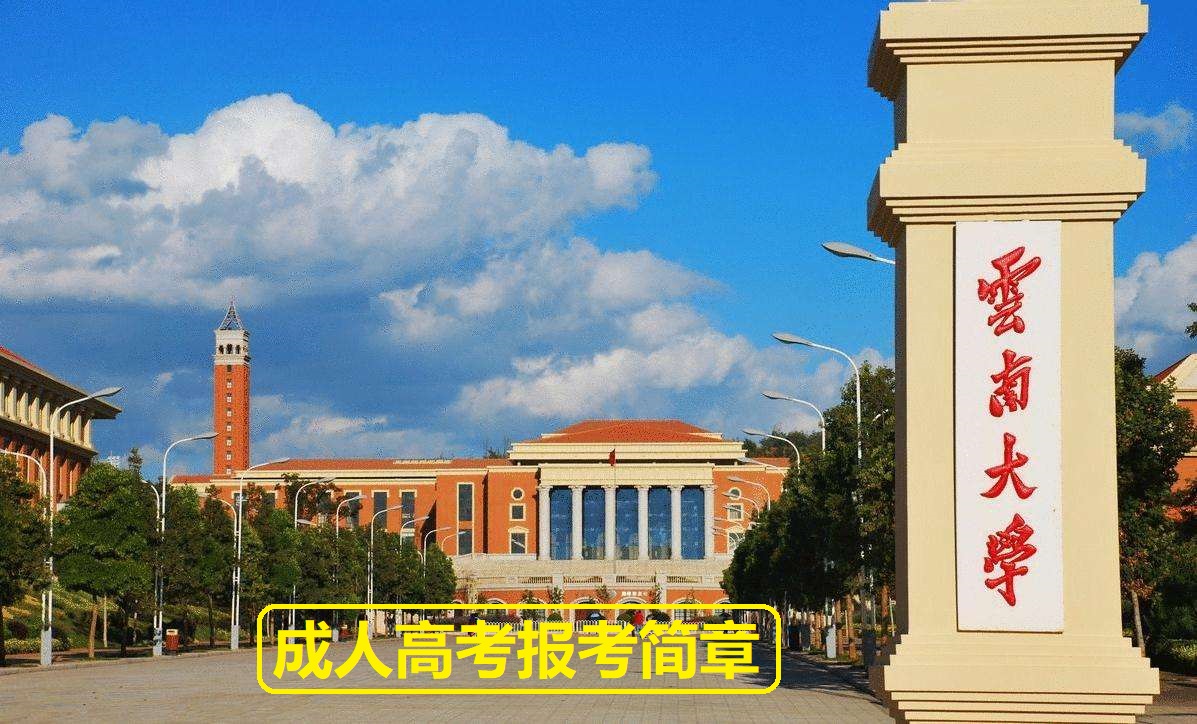 云南大学.jpg